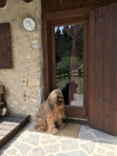 Bild: wunderbar ruhig und romantisch gelegenes Ferienhaus in Bezzecca am Ledrosee